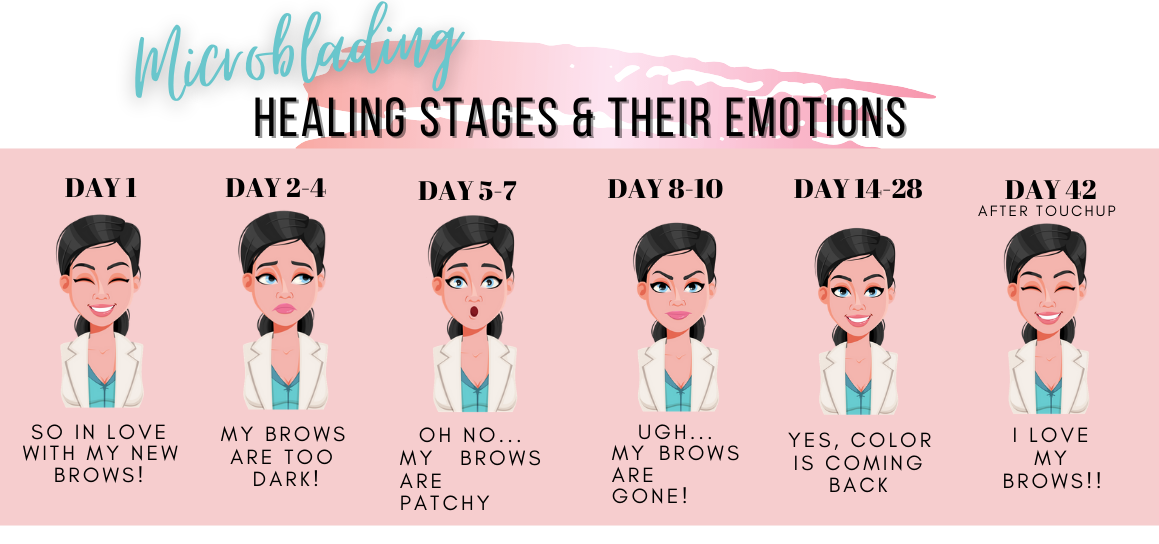 Diagram showing the microblading healing stages day by day.